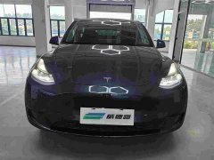 Tesla Model Y rear-wheel drive version - фото 2