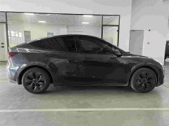 Tesla Model Y rear-wheel drive version - фото 6