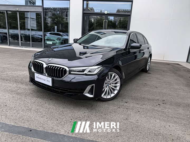 BMW 5 Series 530Li Luxury Line - автомобиль из Китая