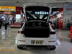 FAW-Volkswagen CC 380TSI eye-catching version - фото 19