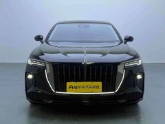 Hongqi H9 2.0T Qixiang Private Fashion Edition - фото 2