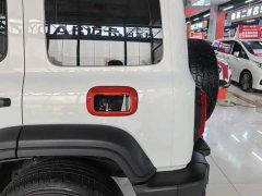 Tank 300 Off-Road Version 2.0T Conqueror - фото 18