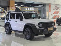 Tank 300 Off-Road Version 2.0T Conqueror - фото 3