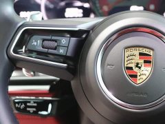 Porsche Panamera 2.9T - фото 16