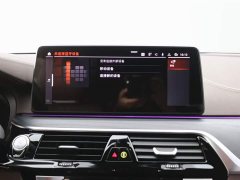 BMW 5 Series 2022 Facelift II 530Li M Sport Package - фото 18