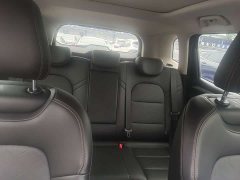 Haval Big Dog 1.5T DCT two-wheel drive Border Collie version - фото 13