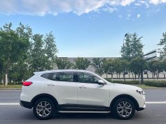 Haval H6 2021 National Fashion Edition 1.5T Automatic Champion Edition - фото 4