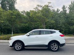 Haval H6 2021 National Fashion Edition 1.5T Automatic Champion Edition - фото 5