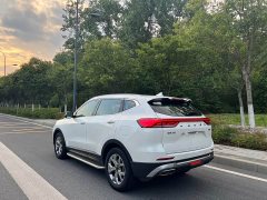 Haval H6 2021 National Fashion Edition 1.5T Automatic Champion Edition - фото 8