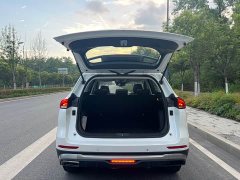 Haval H6 2021 National Fashion Edition 1.5T Automatic Champion Edition - фото 9