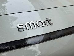 smart #3 Pulse AWD - фото 20