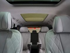 Denza D9 DM-i 970 four-wheel drive flagship - фото 15