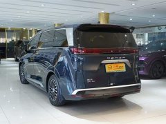 Denza D9 DM-i 970 four-wheel drive flagship - фото 18
