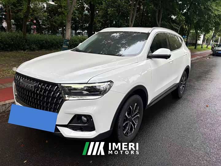 Haval H6 2023 National Fashion Edition 1.5T Automatic Urban Edition - автомобиль из Китая