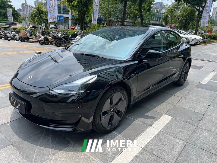 Tesla Model 3 2022 rear-wheel drive version