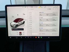 Tesla Model Y 2023 rear-wheel drive version - фото 8
