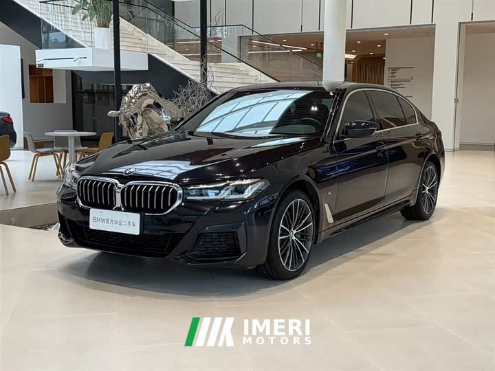 BMW 5 Series 530Li Leading M Sports Package - автомобиль из Китая