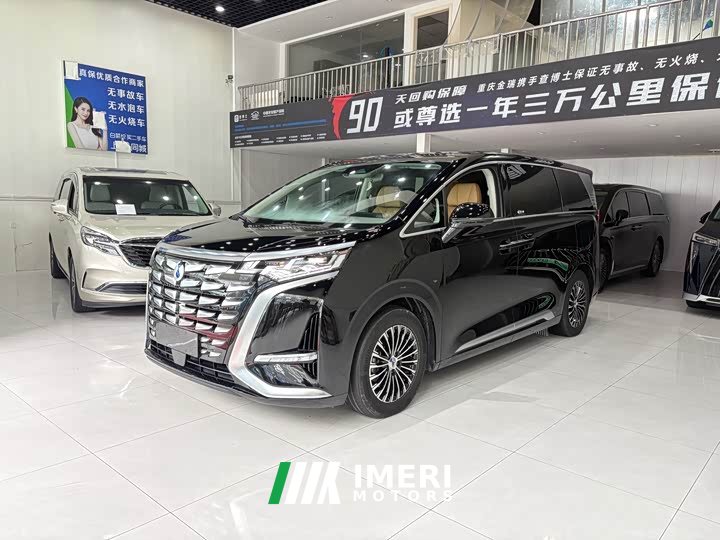 Denza D9 2022 DM-i 1040 Premium Type - автомобиль из Китая