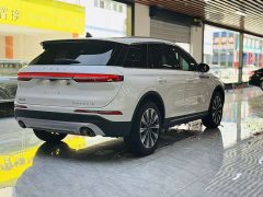 Lynk & Co Adventurer 2022 2.0T two-wheel drive MONO limited edition - фото 18