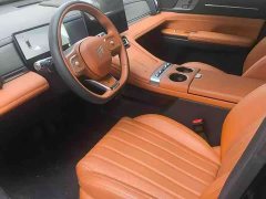 Jetour Shanhai L7 PLUS 220km flagship version 7 seats - фото 3