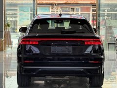 Audi Q8 55 TFSI Luxury Dynamic Edition - фото 17