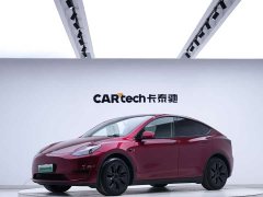 Tesla Model Y rear-wheel drive version - фото 1