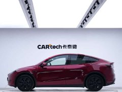Tesla Model Y rear-wheel drive version - фото 3