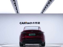 Tesla Model Y rear-wheel drive version - фото 6