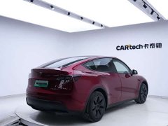 Tesla Model Y rear-wheel drive version - фото 7