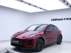 Tesla Model Y rear-wheel drive version - фото 8
