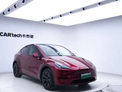 Tesla Model Y rear-wheel drive version - фото 9