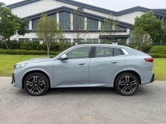 BMW X2 (Imported) sDrive25i M Sports Package - фото 3