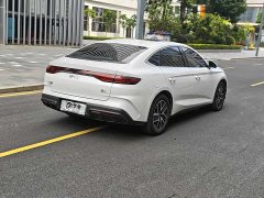 BYD Qin L DM-i 80KM transcendent - фото 9
