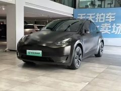 Tesla Model Y 2023 rear-wheel drive version - фото 1