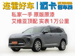 Lexus Envision Plus 2024 Envision Plus four-wheel drive Avenir - фото 1
