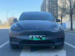 Tesla Model Y rear-wheel drive version - фото 2