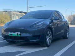Tesla Model Y rear-wheel drive version - фото 3