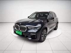 BMW X5 (Imported) xDrive40i M Sports Package - фото 1