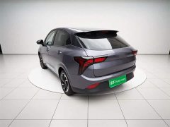 Lynk & Co Nezha V long battery life industry customized version - фото 4