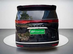 Denza D9 DM-i 980 four-wheel drive premium - фото 3
