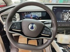 Denza D9 DM-i 980 four-wheel drive premium - фото 6