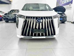 Trumpchi M8 2023 Grandmaster Series Dual Engine Royal Edition - фото 2