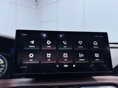 Lexus Haoyue 1.8TD DCT luxury 7 seats - фото 13