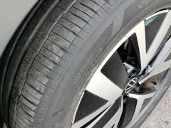 Lexus Tanyue 330TSI 2WD Luxury Plus Advanced Edition - фото 16