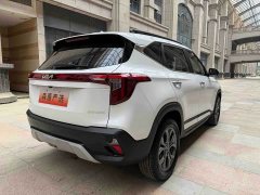 Lexus Sethus 2023 1.5L CVT Deluxe Edition - фото 16
