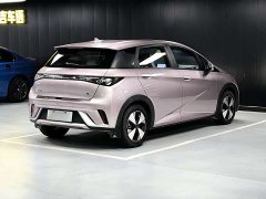 BYD Dolphin 420km Free Edition - фото 16