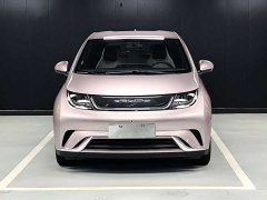 BYD Dolphin 420km Free Edition - фото 2