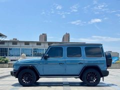 Mercedes-Benz G-Class 2023 G 400 d - фото 5