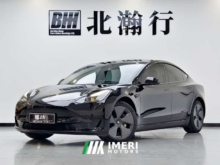 Tesla Model 3 rear-wheel drive version