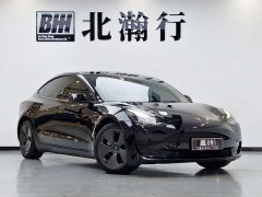 Tesla Model 3 rear-wheel drive version - фото 3